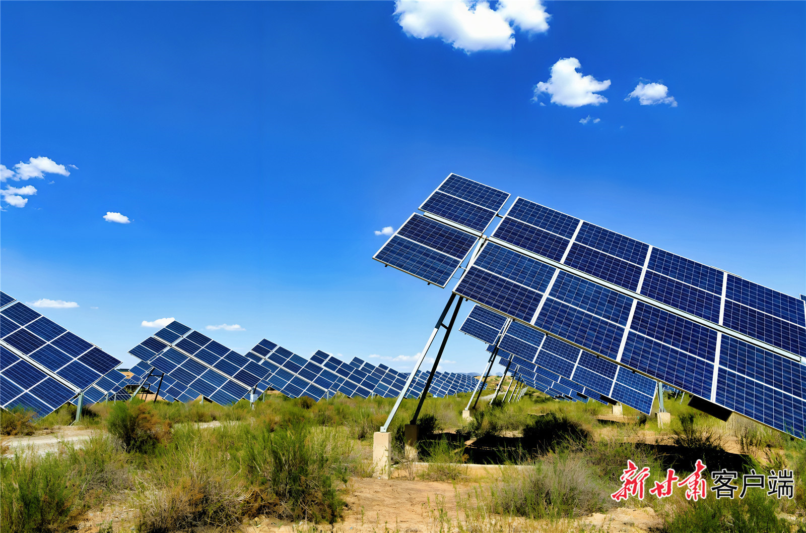 板上发电，板下治沙。