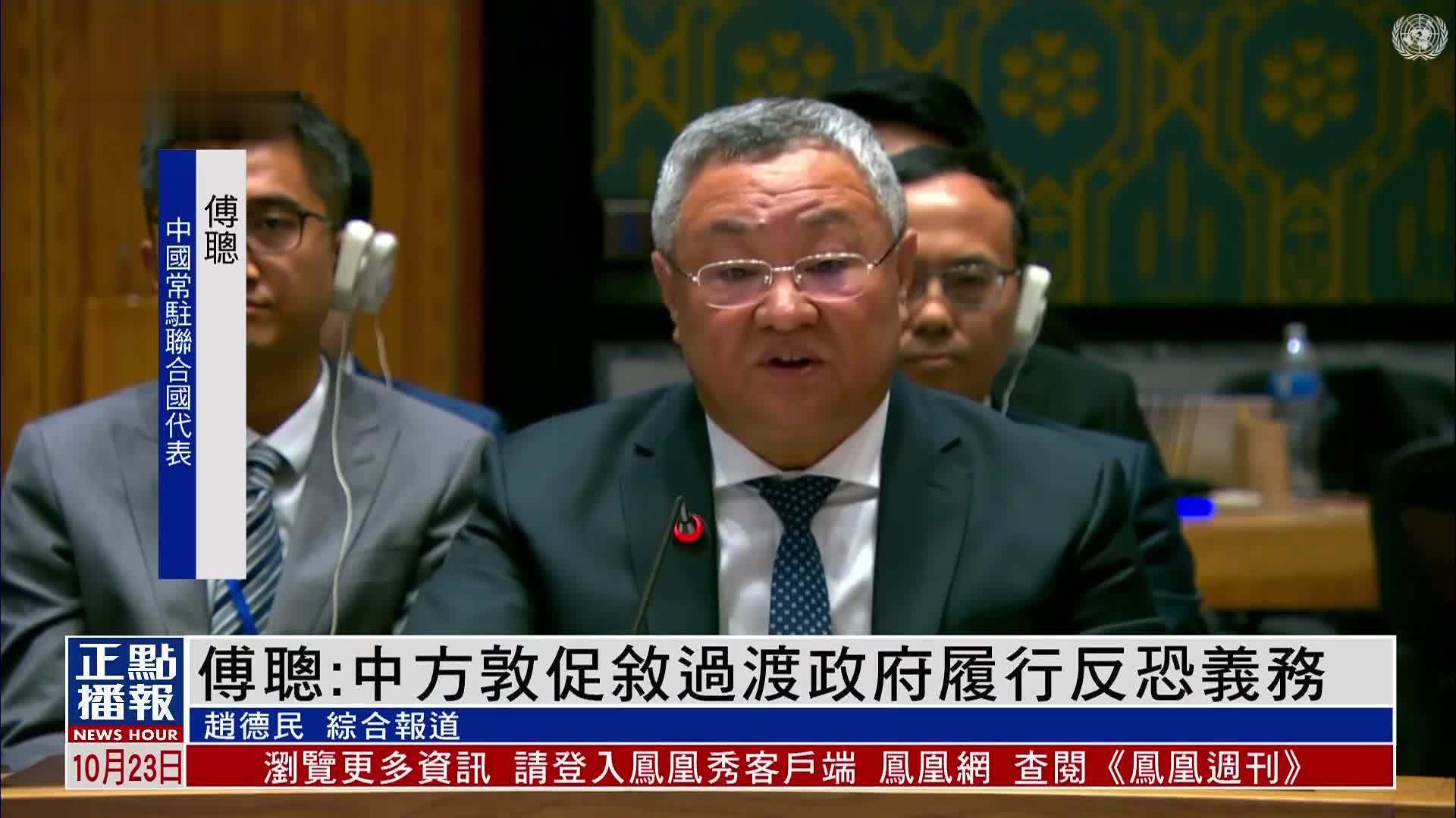 傅聪：中方敦促叙过渡政府履行反恐义务