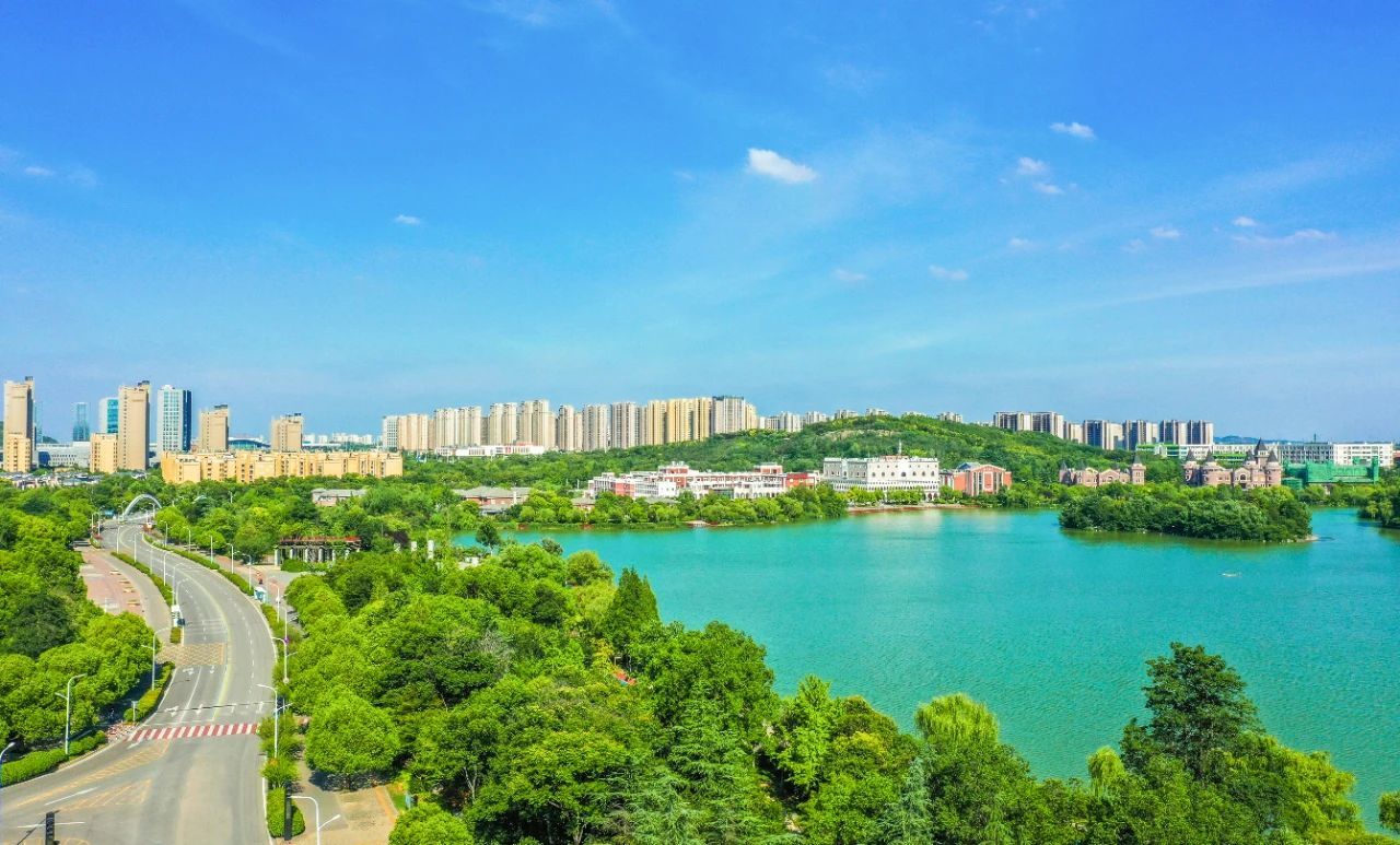 这一年,徐州经开区护航企业“加速跑”