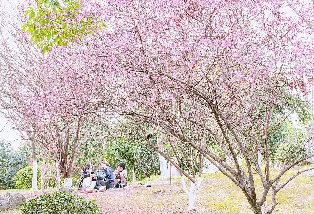 书写民生“幸福答卷”——天门市“十四五”民生保障和公共服务工作综述