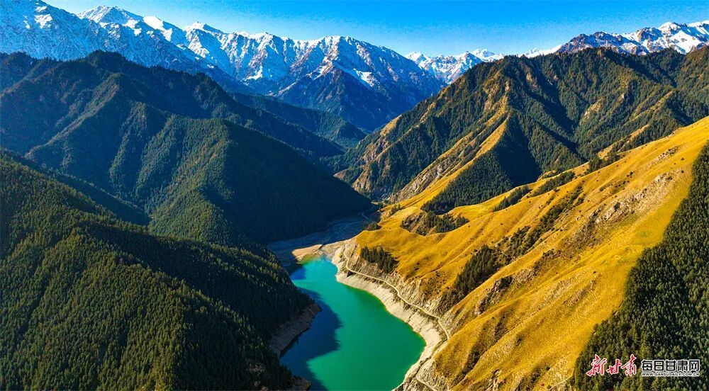 王将 李选民 王超/摄