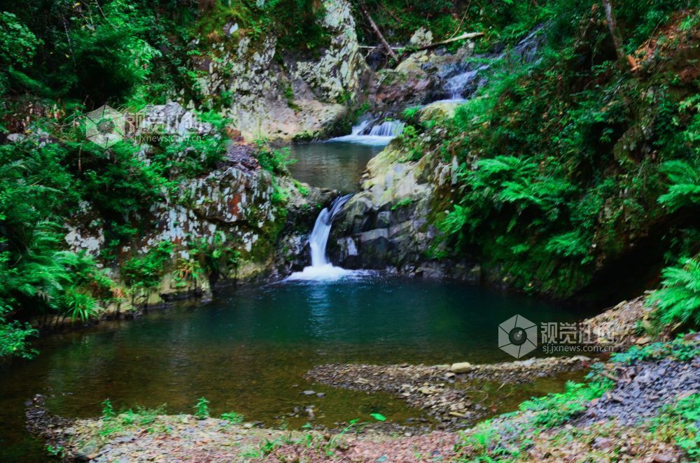 深秋时节，江西省永新县三湾乡的九陇山，迎来了一年中最富诗意的时刻。数十处形态各异的瀑布如白练倾泻而下。潺潺流水与漫山彩林交相辉映，宛若一幅浑然天成的巨幅油画。