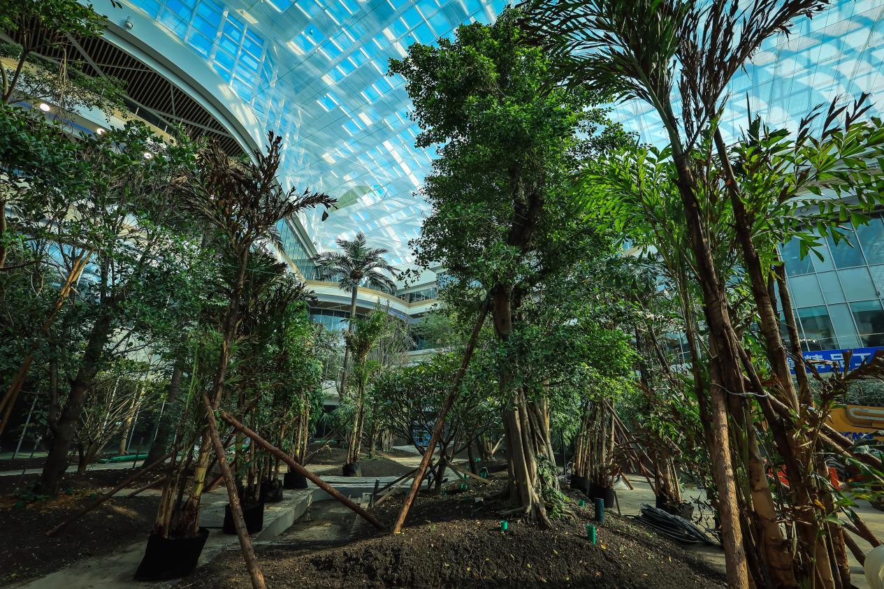 万达茂室内空间热带雨林景观。10月22日拍摄，净月高新区党工委宣传部供图。
