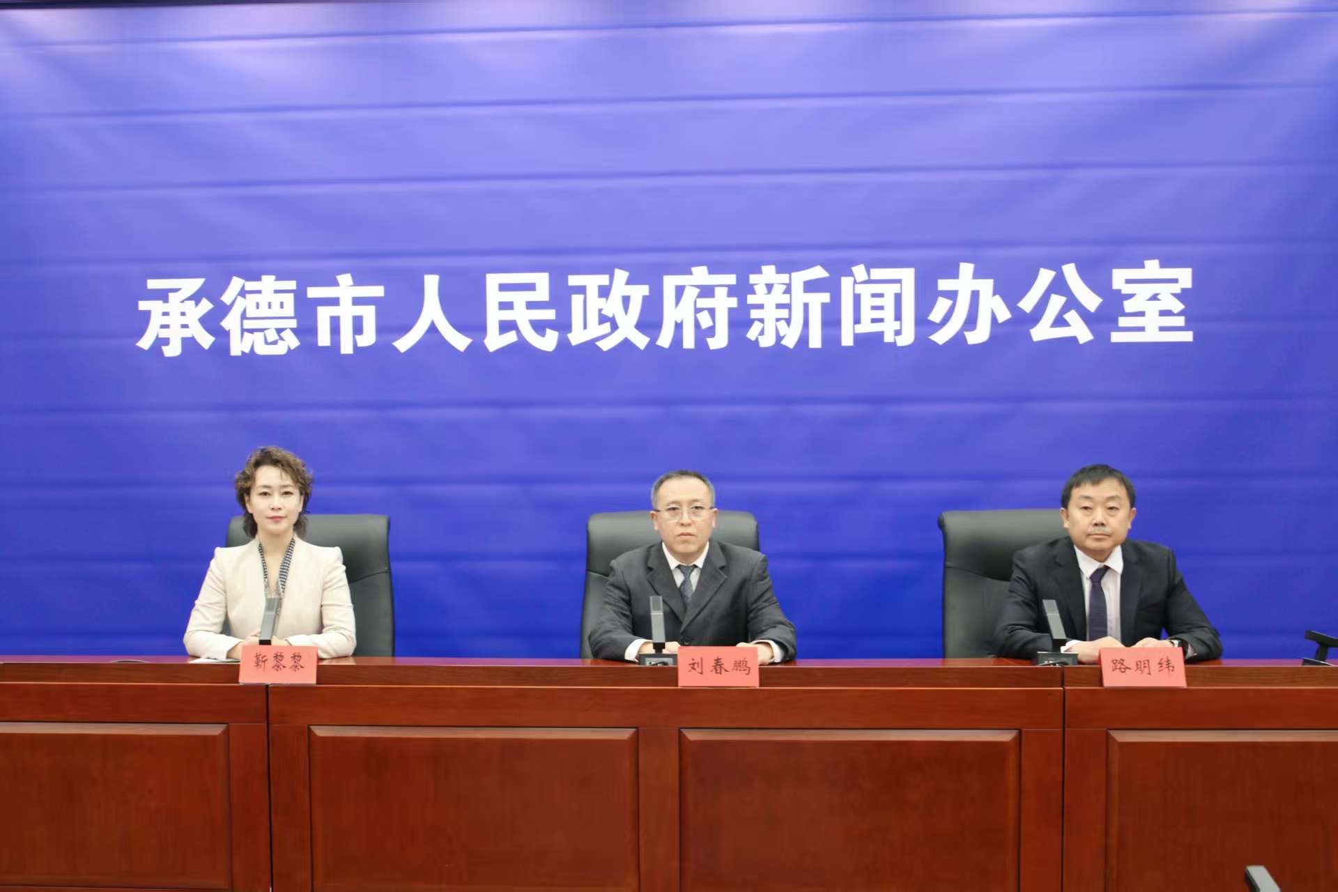 发布会现场 王占平摄