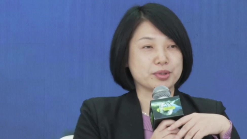 王遥：金融机构要更多去创新金融产品，引导资本流向绿色低碳领域