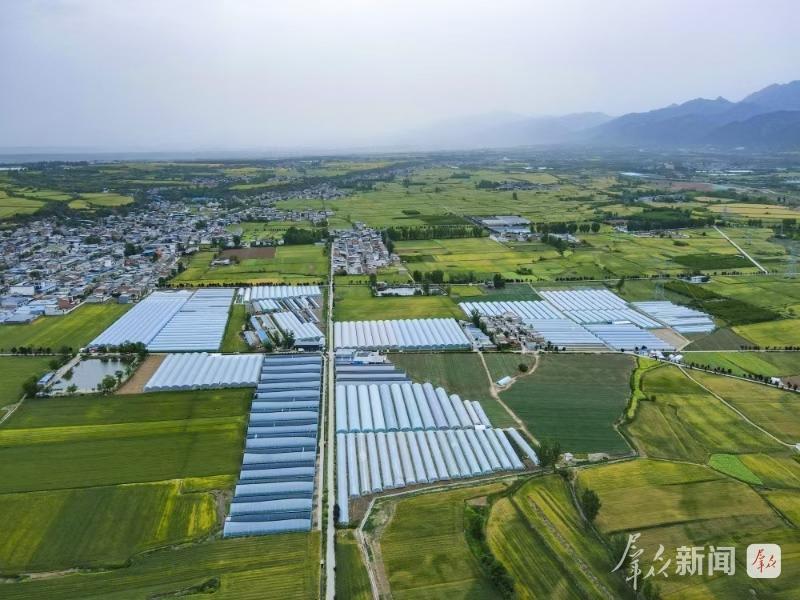 “田間”到“云端” 西安“菜籃子”提質增效