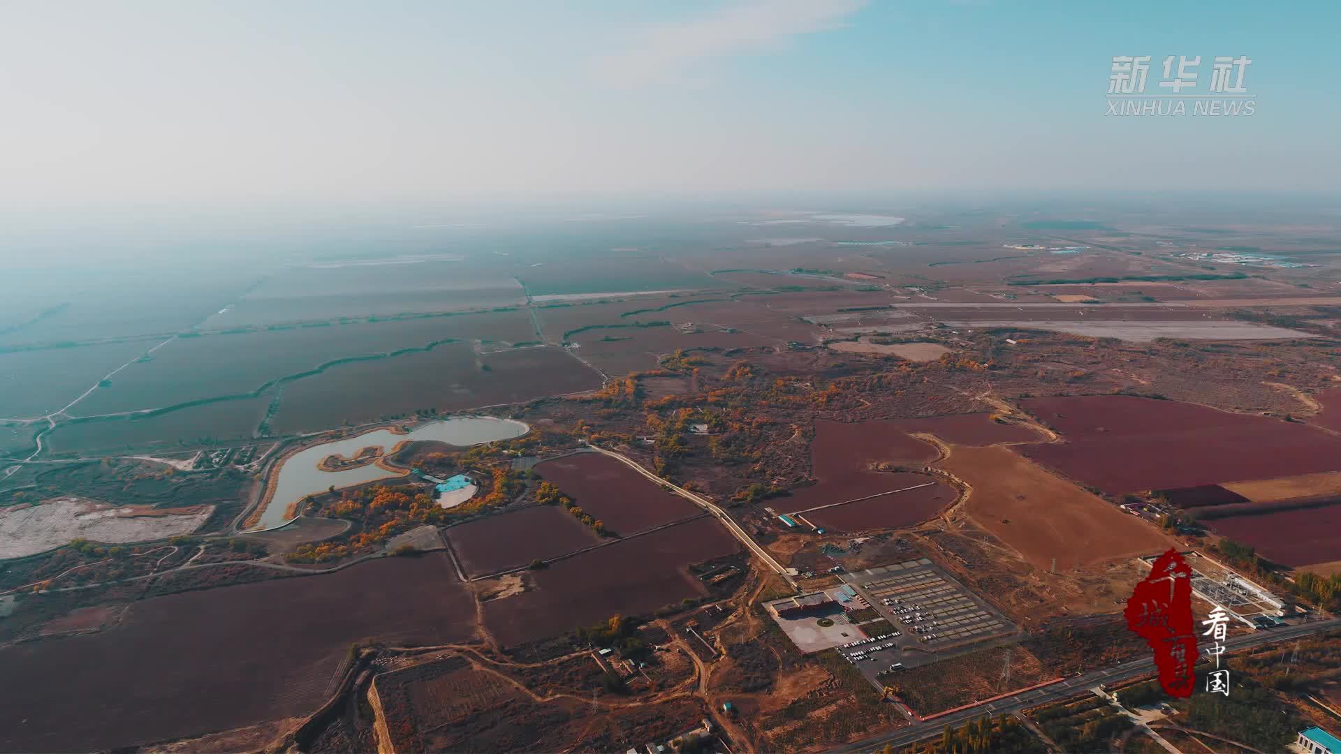 千城百县看中国｜新疆昌吉：秋之金色胡杨林