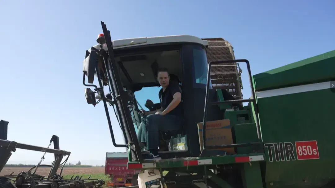 半个小时采完3亩多番茄地！外国人体验新疆现代化采收的速度