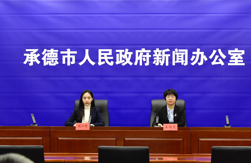 发布会 王占平摄