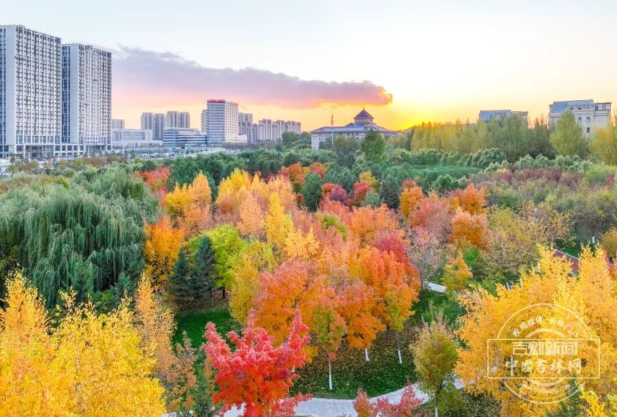 夕阳的余晖为梨花园的秋色又增添了一抹暖意