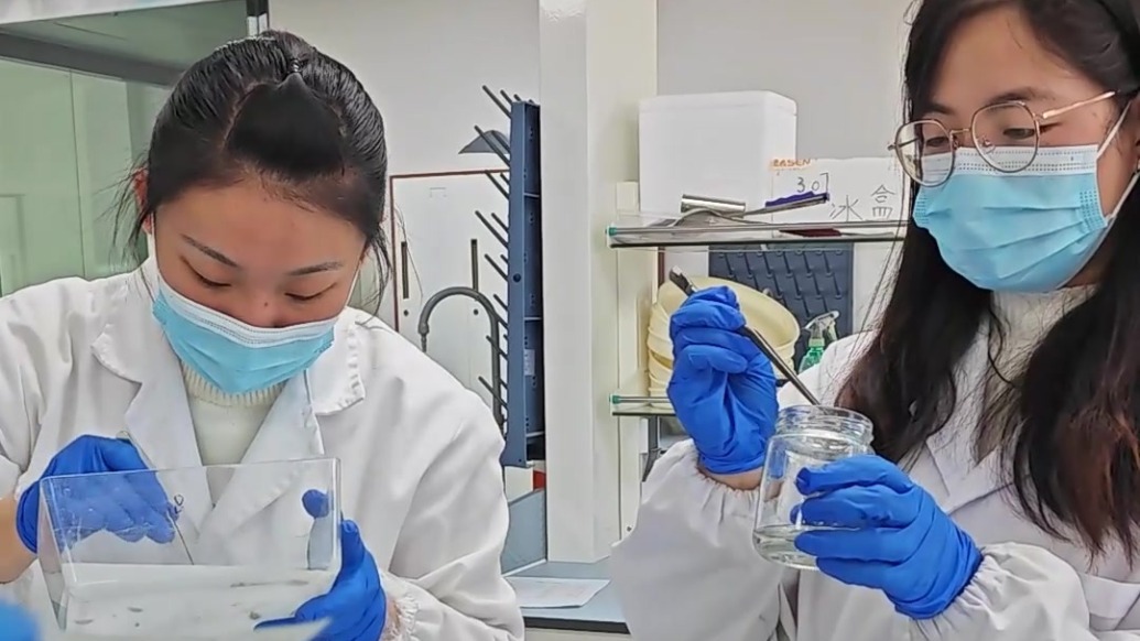 非凡“十四五”奋进新肃州：科技赋能育种