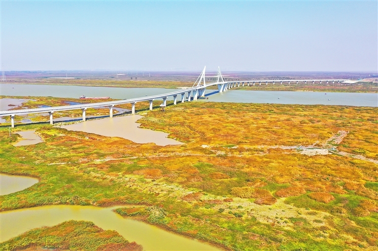 航拍鄱阳湖旅游公路铁河大桥段秀丽风光（图）