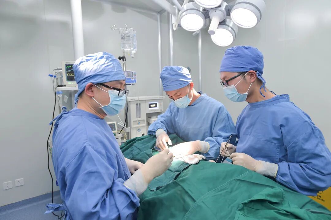 赣南创新与转化医学研究院科研人员在工作中（大江新闻 全媒体记者邬强 摄）