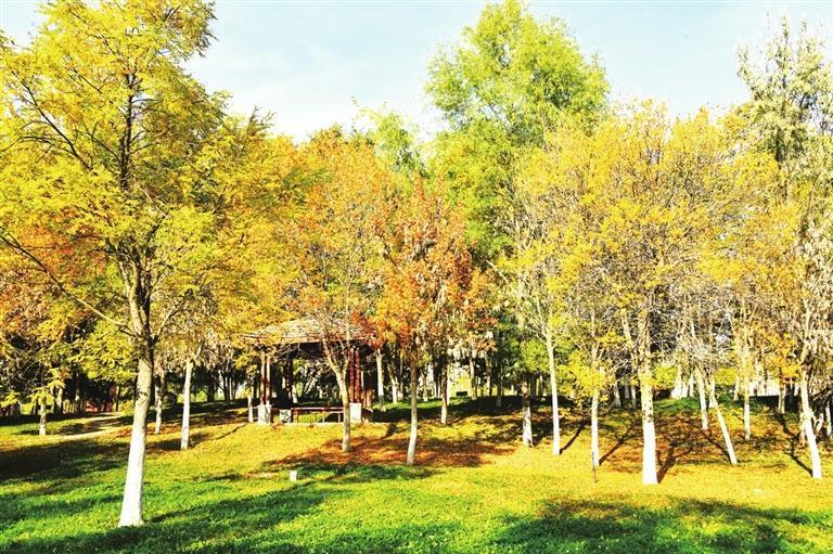 栖霞湖畔秋色美　崔盛政　摄