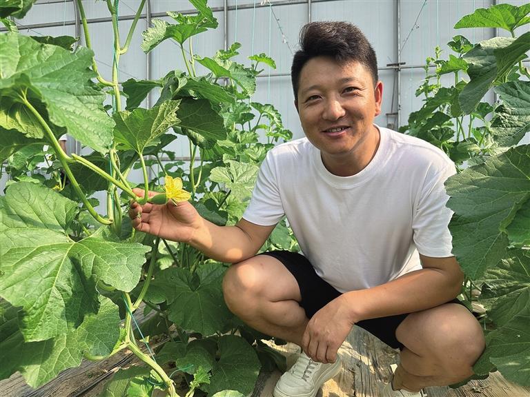 魏新宝查看瓜苗长势