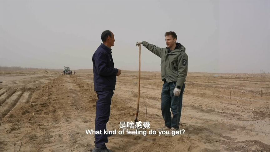 美国小哥塔克拉玛干种下一棵树，“无论到哪里 我都会惦记它”