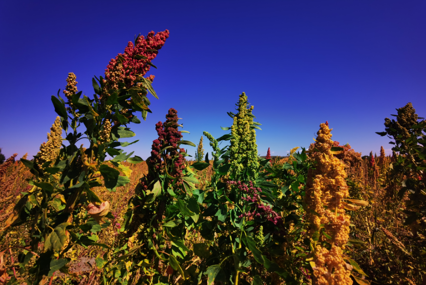 向绿要效益，以水定发展，张家口产业转型的“绿色账本”