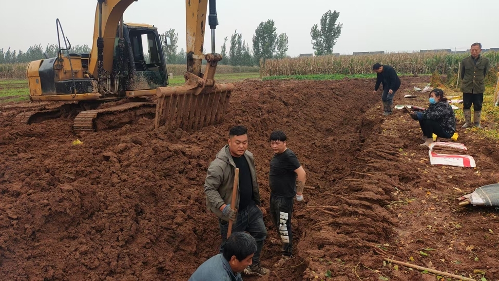 携手并进!张宝山荣获首批会员单位,河南药食同源专业委员会正式成立