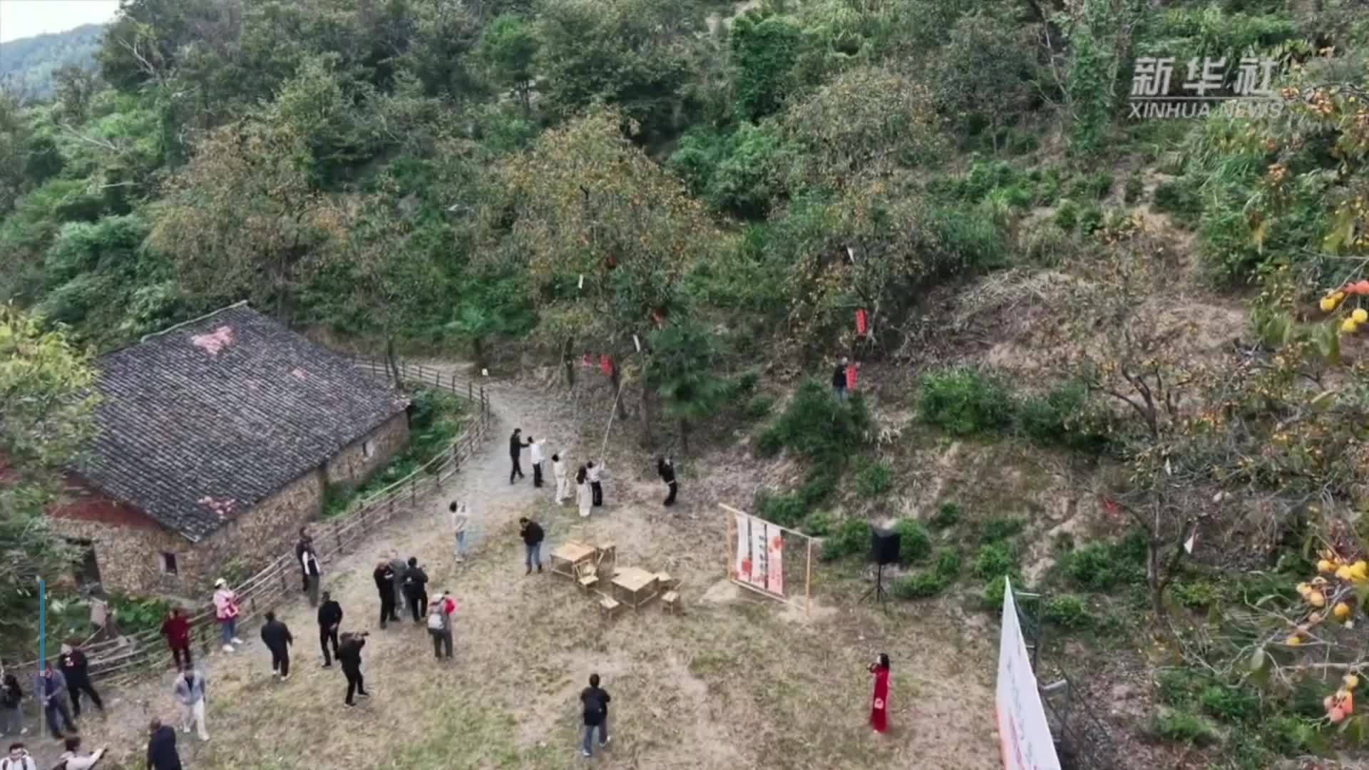 江西鄱阳：盛“柿”满山红 乡村致富果