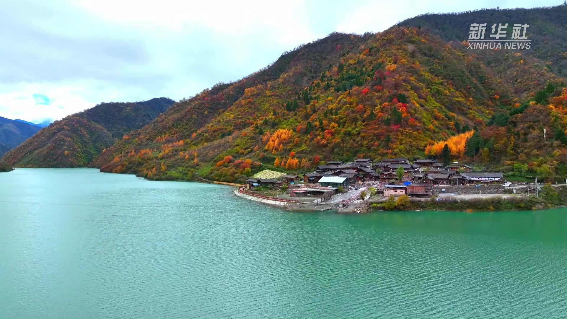 望川秋意浓——四川平武洪雅旺苍：层林尽染时