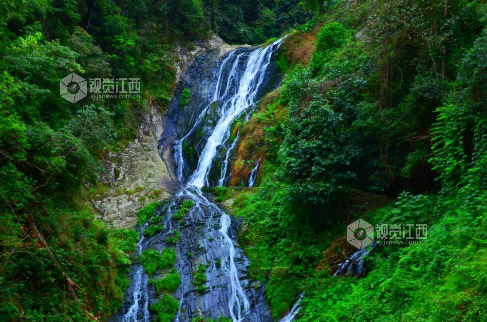 深秋时节，江西省永新县三湾乡的九陇山，迎来了一年中最富诗意的时刻。数十处形态各异的瀑布如白练倾泻而下。潺潺流水与漫山彩林交相辉映，宛若一幅浑然天成的巨幅油画。