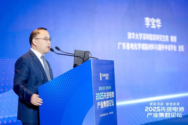 广东省电化学储能材料与器件中试平台主任、清华大学深圳国际研究生院李宝华教授