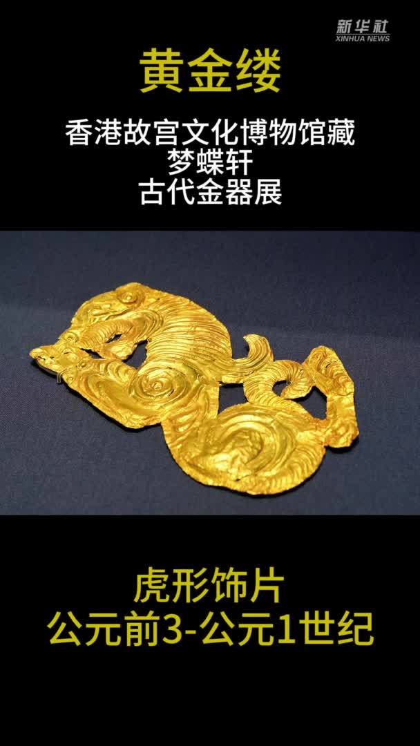 “黄金缕”展：下肢扭转180度的“虎”你见过吗？