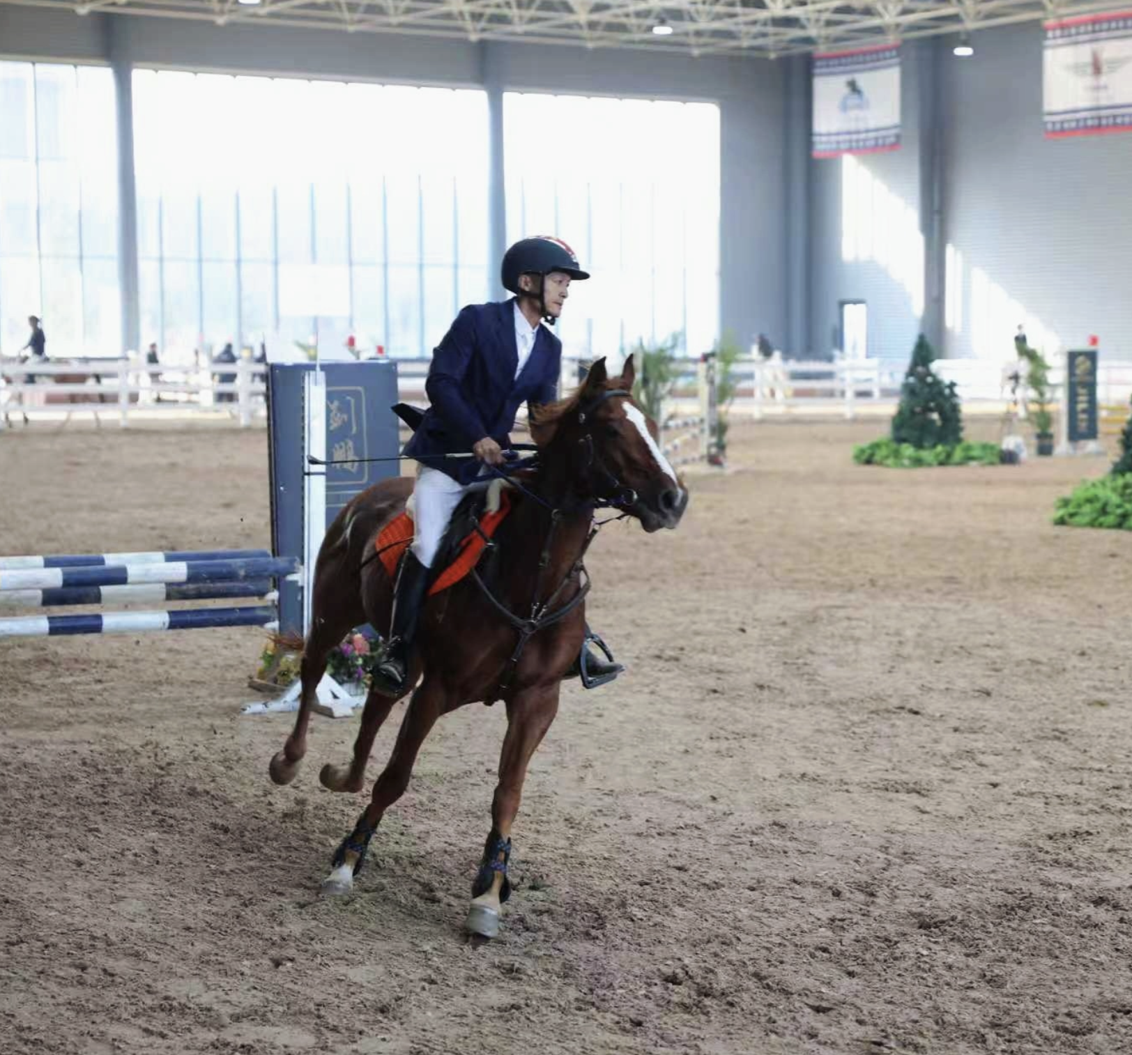 东北马联马术总决赛落位长春净月  高端赛事激活体旅融合新动能