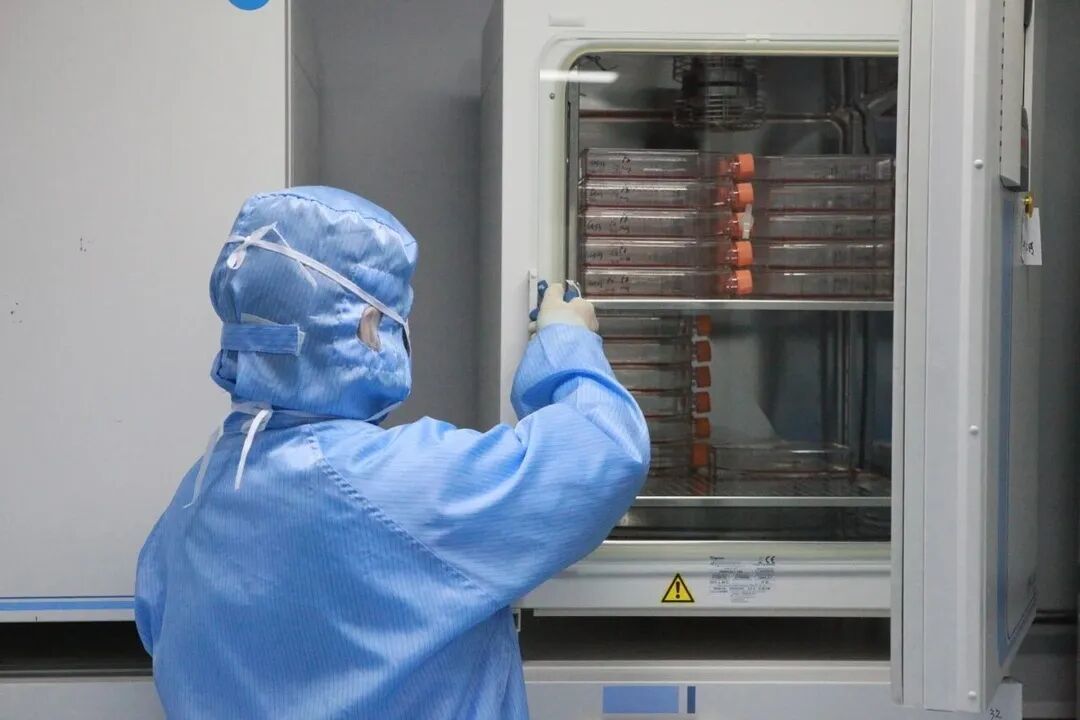 实验室动物先进科学转化中心干细胞制备（受访单位供图）