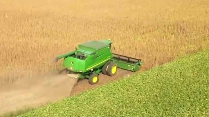 中方反制，美国“跌倒”，巴西豆商“吃饱”