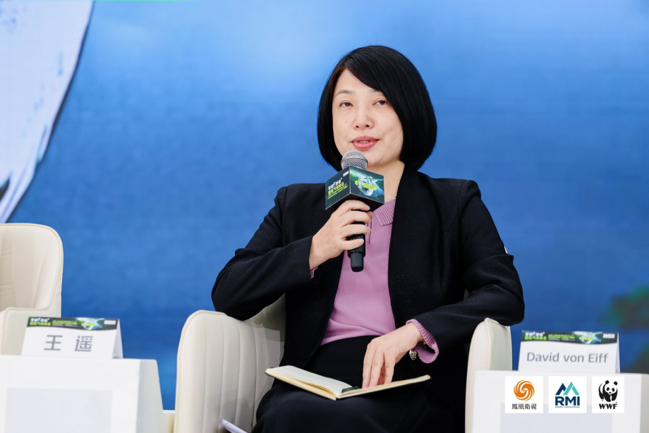 中央财经大学绿色金融国际研究院院长王遥