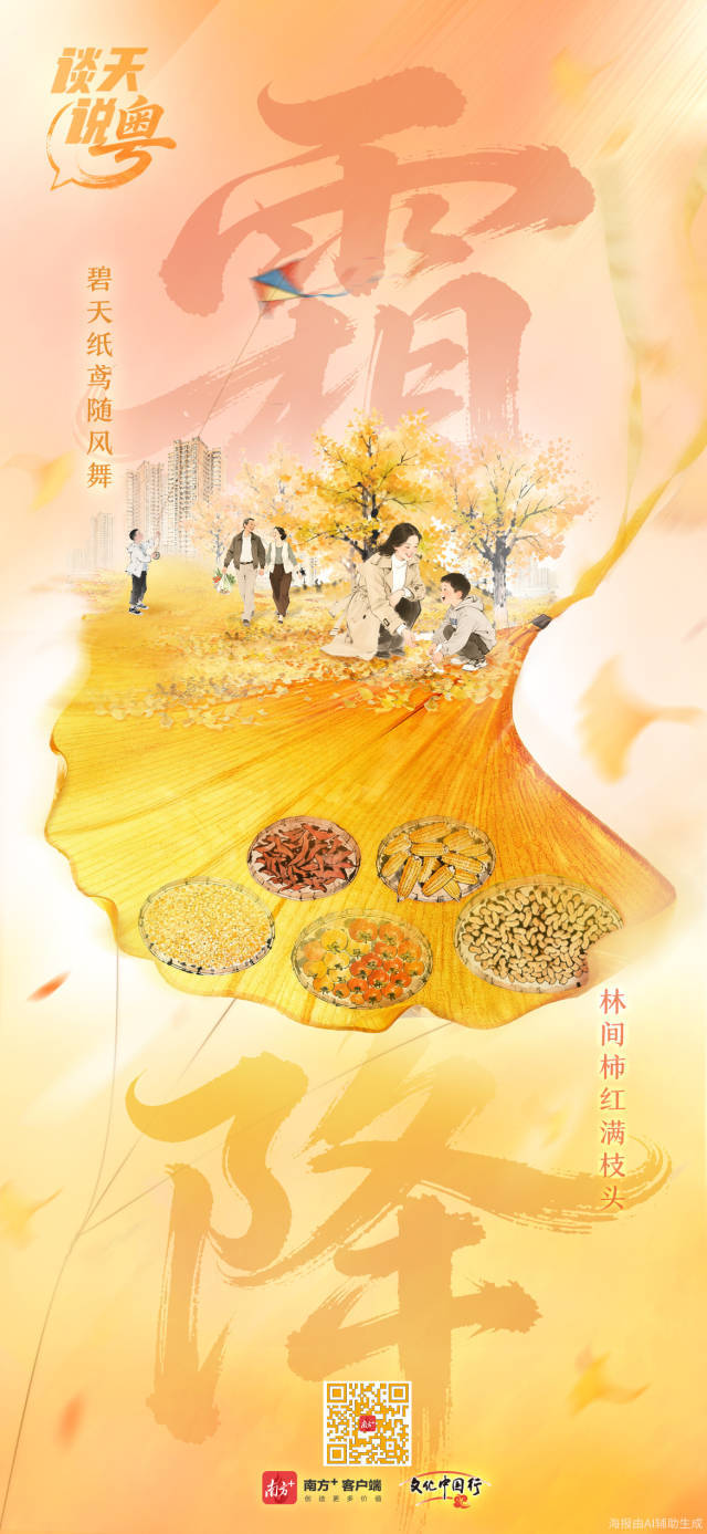 文化中国行&middot;霜降 | 碧天纸鸢随风舞，林间柿红满枝头