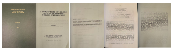 一个碱性磷酸酶功能研究的故事