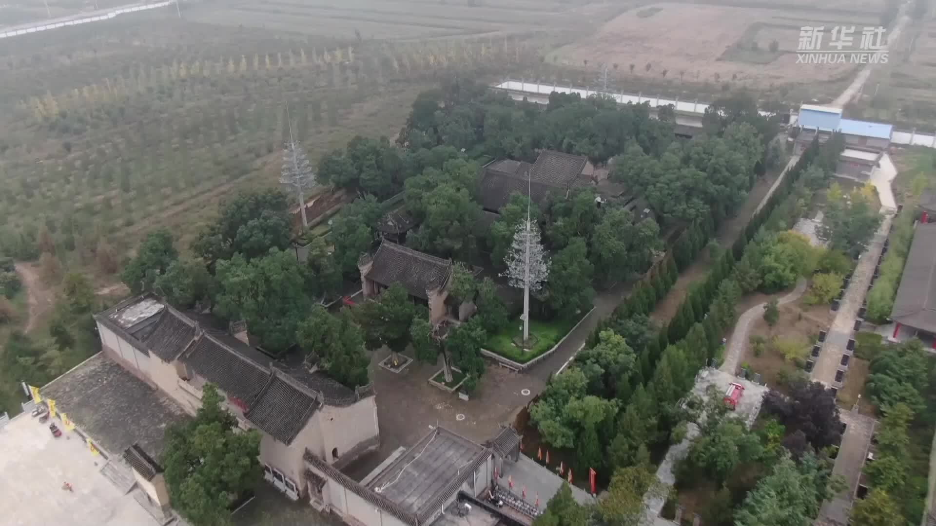 陕西白水：科技赋能古树名木保护 让绿色国宝生生不息