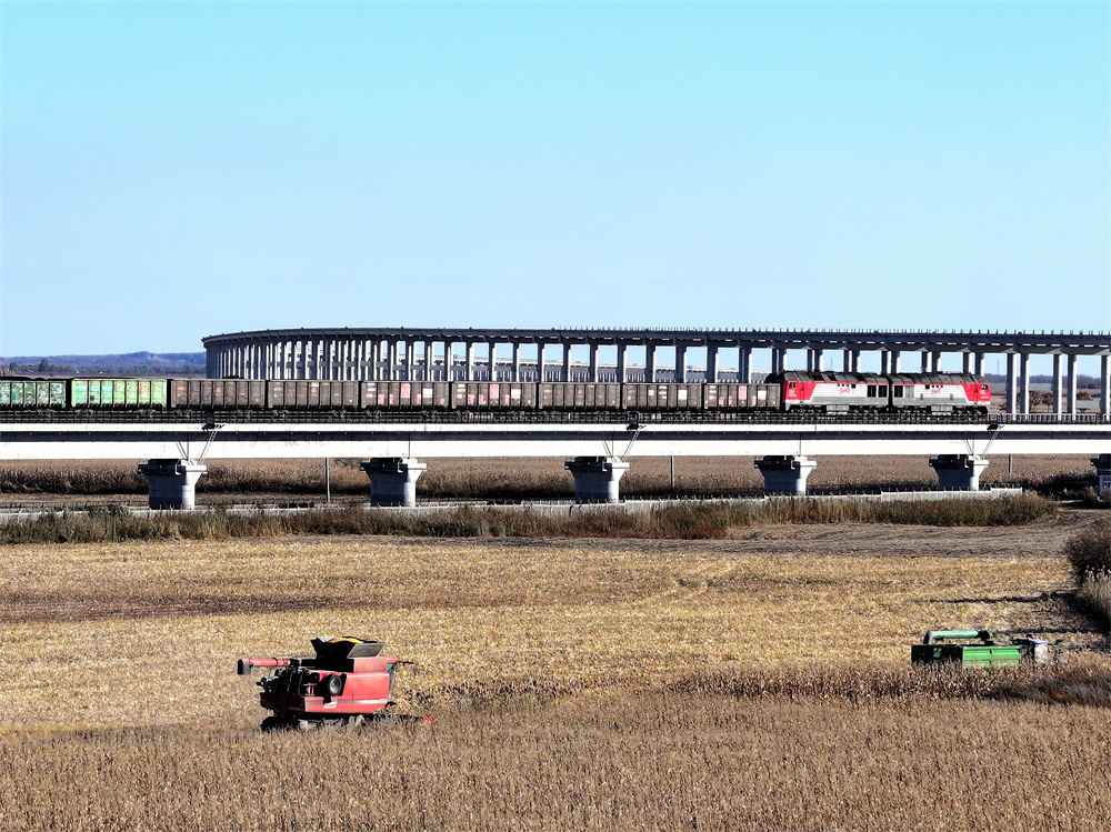 同江铁路口岸年内进口运量超510万吨  运输效能再攀新高