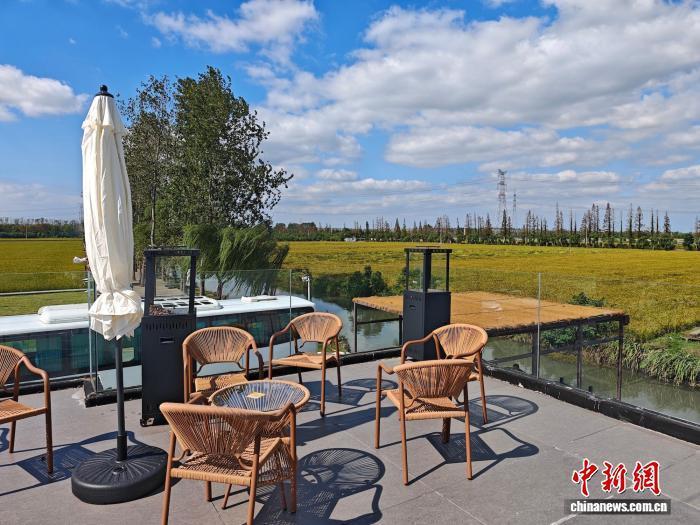 周边的稻田,是河横村“椿野咖啡”的最佳拍档。孙权 摄