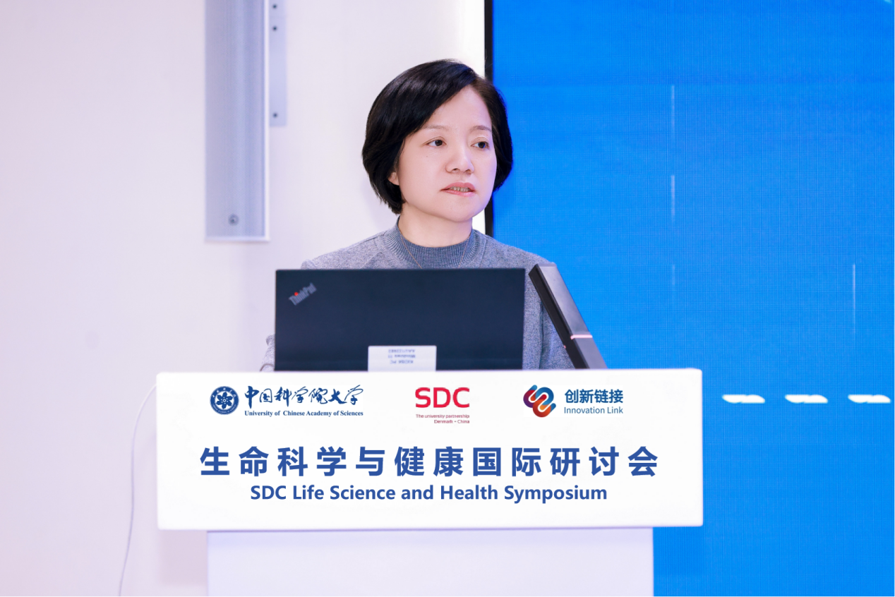 https://img2.danews.cc/upload/images/20251022/b1ef414b27e1e73f3b8e2328c63f1a2e.png