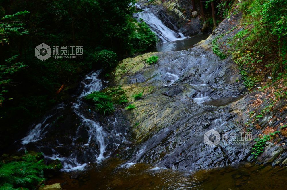深秋时节，江西省永新县三湾乡的九陇山，迎来了一年中最富诗意的时刻。数十处形态各异的瀑布如白练倾泻而下。潺潺流水与漫山彩林交相辉映，宛若一幅浑然天成的巨幅油画。