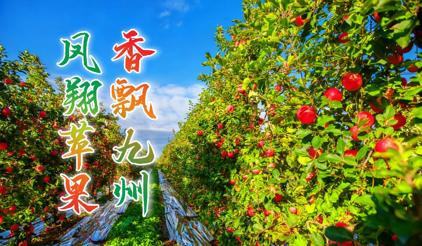 聚焦新质生产力 亮出“宝农优品”!宝鸡市精心筹备第三十二届杨凌农高会