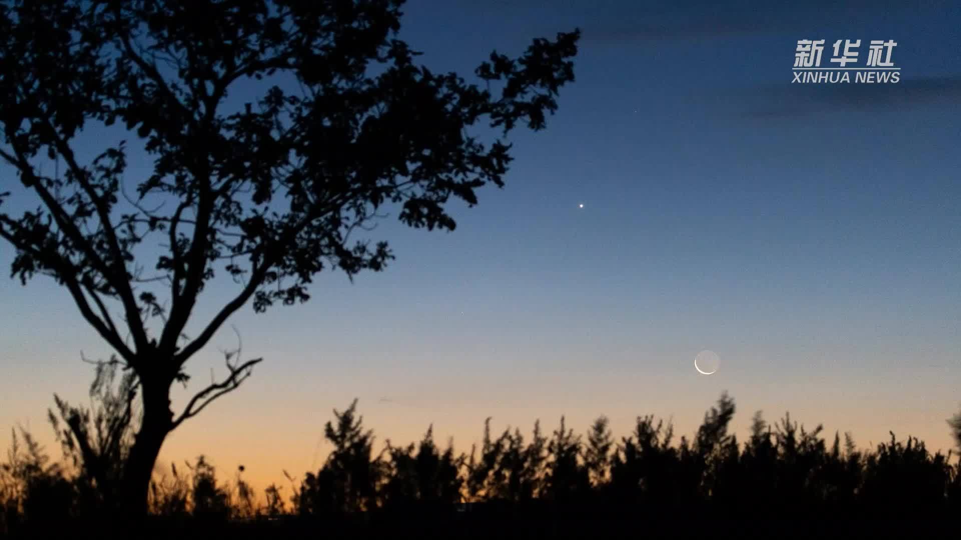 星空相册｜启明星伴月现身天宇