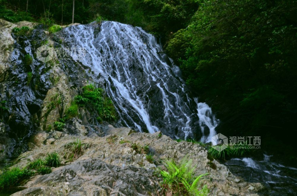 深秋时节，江西省永新县三湾乡的九陇山，迎来了一年中最富诗意的时刻。数十处形态各异的瀑布如白练倾泻而下。潺潺流水与漫山彩林交相辉映，宛若一幅浑然天成的巨幅油画。