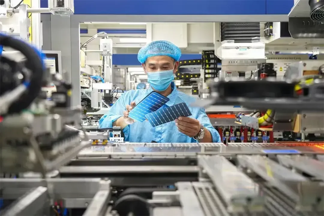 图片来源:海安市融媒体中心 姜明