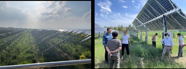 山西大同市、运城市的光伏发电项目