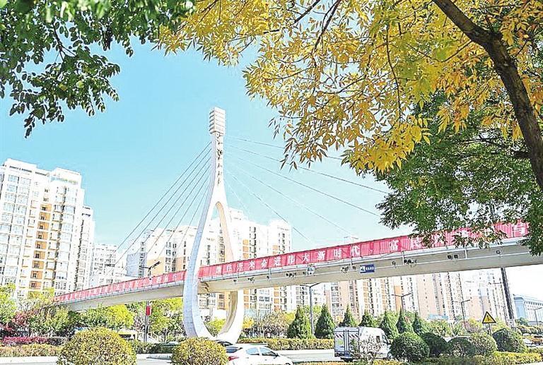 黄河大道秋意浓　崔盛政　摄