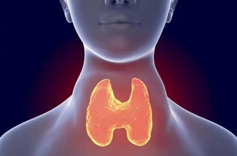 点击查看原始图片