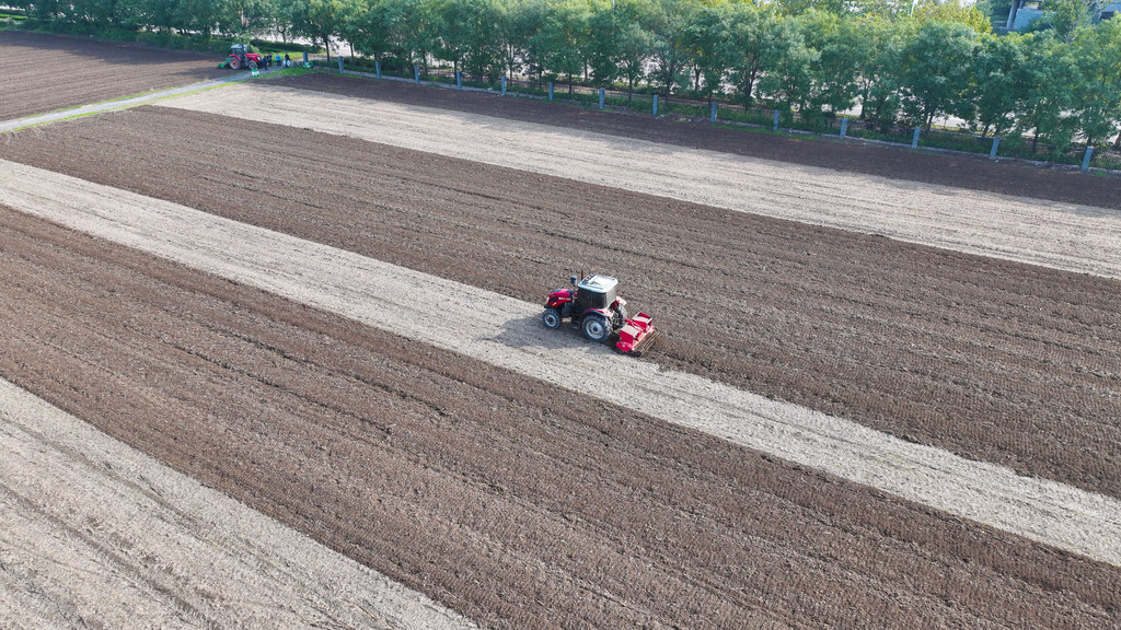 10月22日，农民驾驶旋耕机在邢台经济开发区王快镇南厂社区农田耕地。