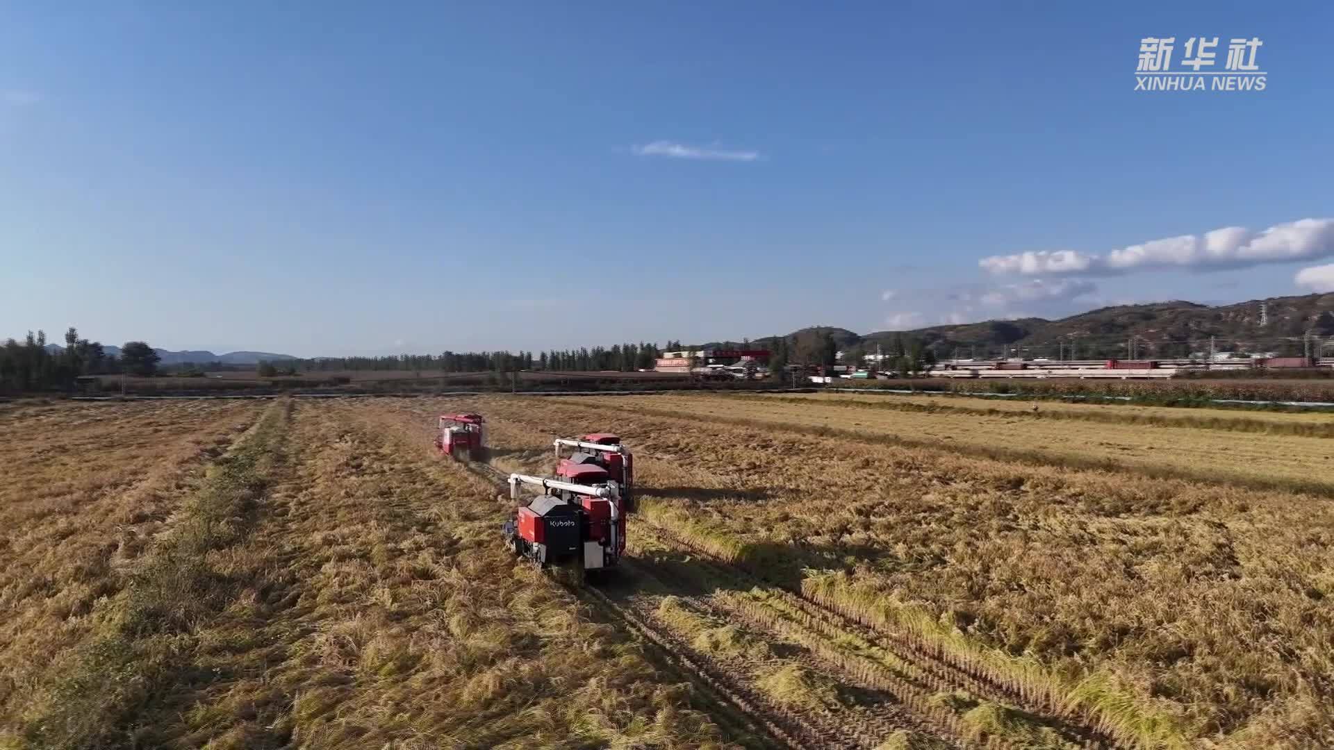 陕西榆林：多部门联动  确保秋粮丰收