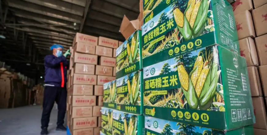 向绿要效益，以水定发展，张家口产业转型的“绿色账本”