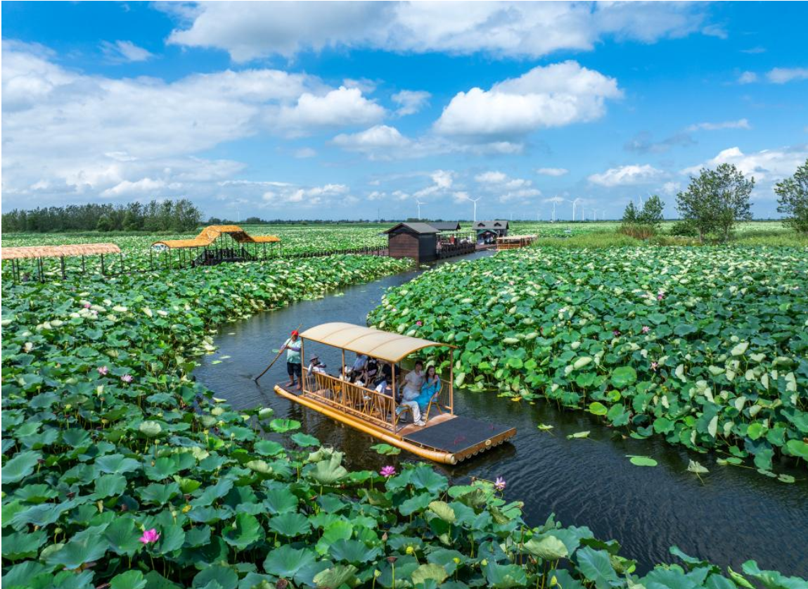 解锁世界“最佳旅游乡村”东罗村的四季文旅密码