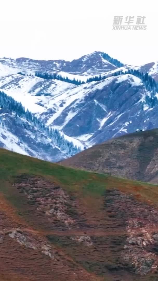 金秋十月遇初雪 绘就仙境画卷美
